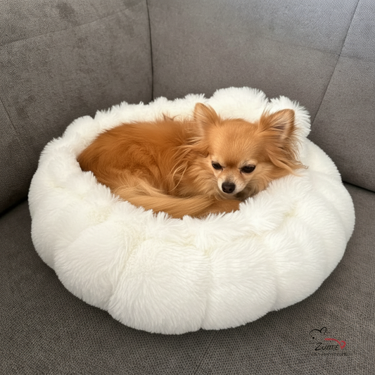 Pompeux Hunde Thermobett /Buddelbett Gr.S z.B. Chihuahua, Farbe Sahne