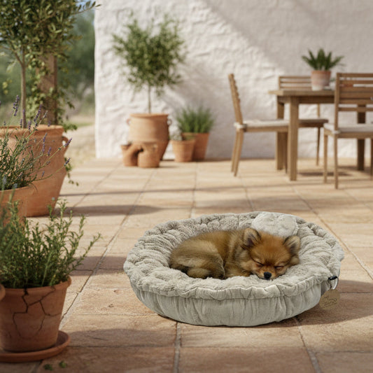 Pompeux Rundbett Gr.M zum wenden für Hunde & Katzen, Farbe Beige