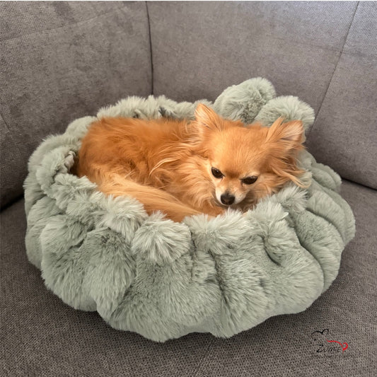 Pompeux Hunde Thermobett /Buddelbett Gr.S z.B. Chihuahua, Farbe Dusty Salbei