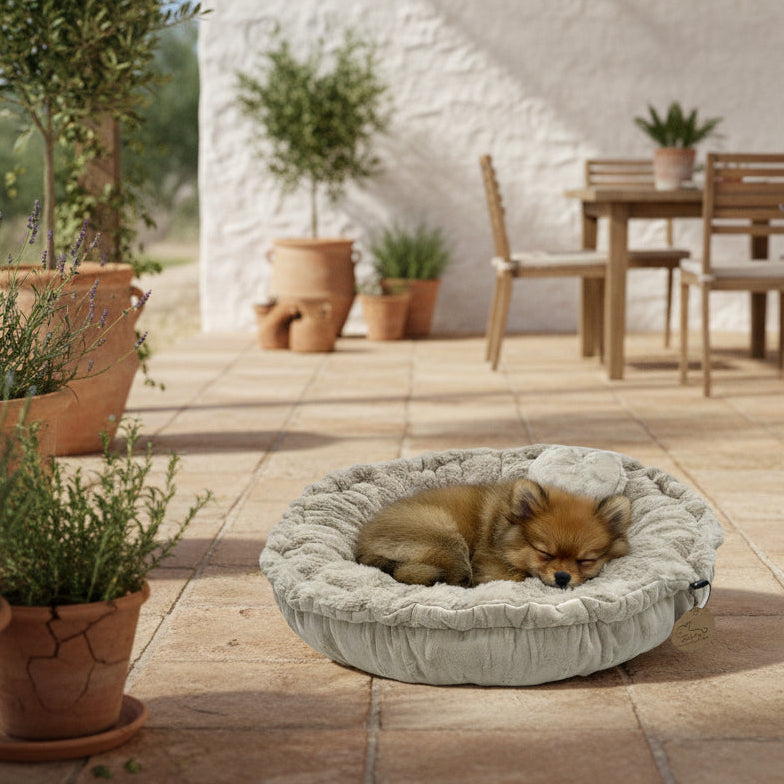 Pompeux Rundbett Gr.M zum wenden für Hunde & Katzen, Farbe Beige